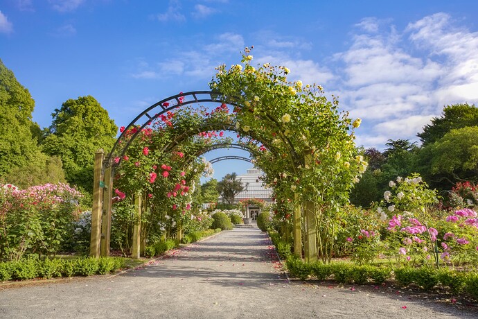 View of Rose Garden towards Cuningham, Townend and Garrick House