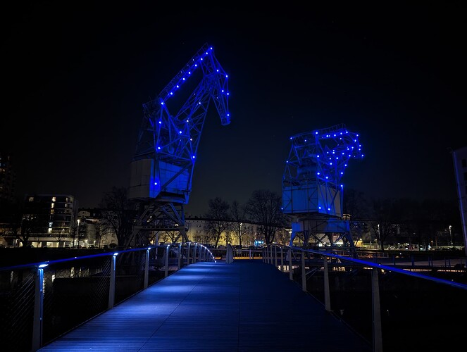 PXL_20240111_201013741