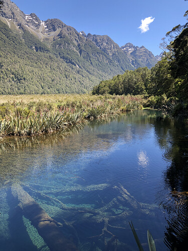 Black Creek.HEIC