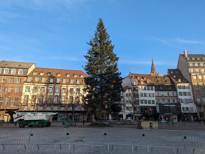 PXL_20240112_141236268