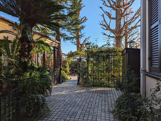 PXL_20231213_061728505