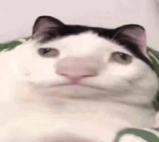 mmexport1700087126836