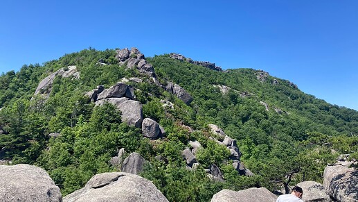 IMG_4622