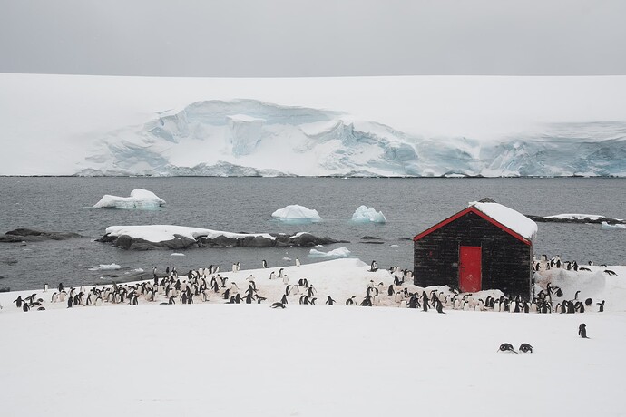 K.thompson.staff.2023-12