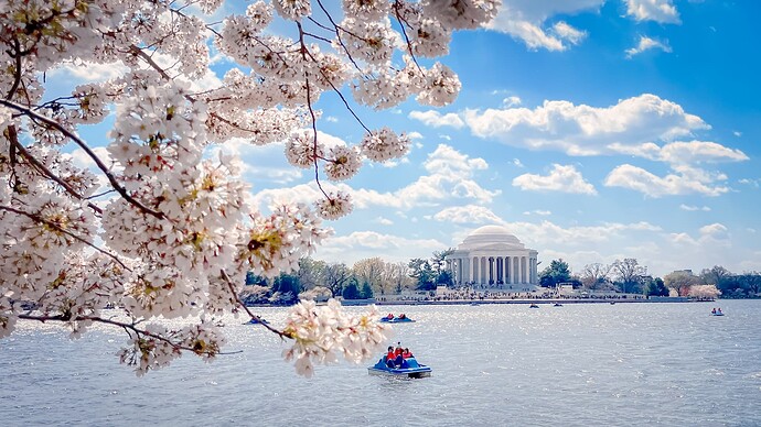 FullSizeRender_VSCO_17-Enhanced-SR-5