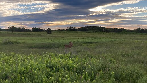 IMG_4687