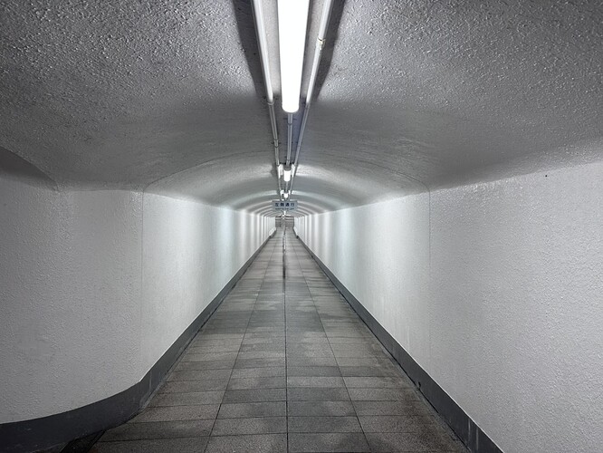 81049839-5A2A-451E-A793-8BA2FE5CBCD3_1_105_c