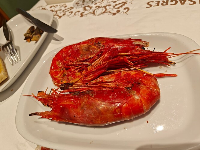 Ramiro - Scarlet Shrimp