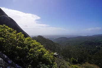 DSC03023