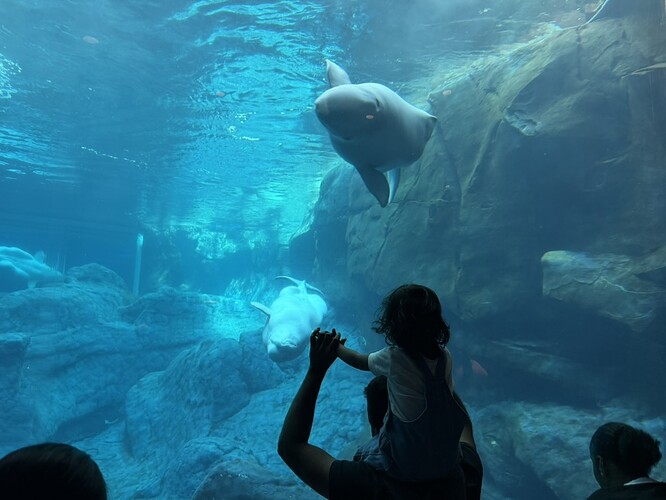 56E222FE-DE7F-4877-9ECF-54AE0DF99FD9_1_105_c