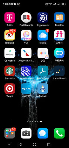 Screenshot_20251211_174710_com.huawei.android.launcher