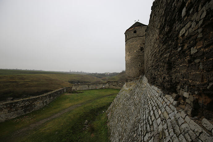 IMG8520