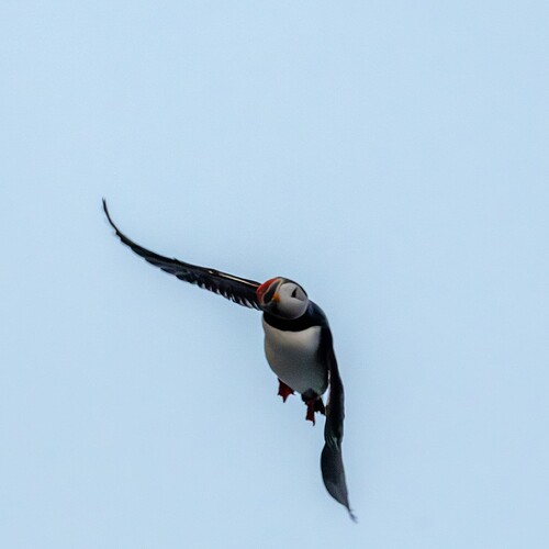 DSC_9592-Enhanced-NR