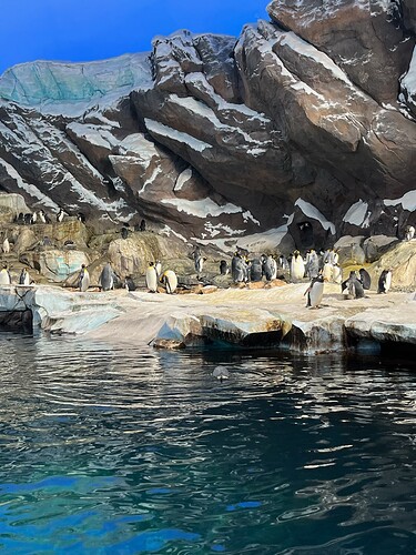 11A0DC5A-1C88-419D-81CF-5D80ED673078