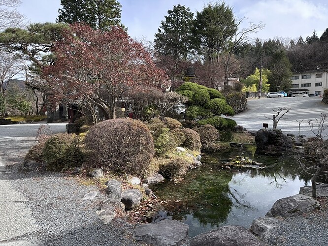 C885D26F-36BA-4C5C-AE50-A41472BE0ECE_1_105_c