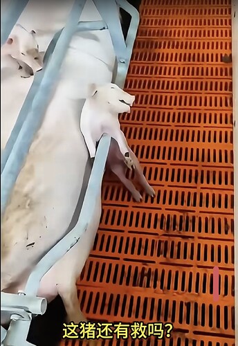 Screenshot_20260301_183308