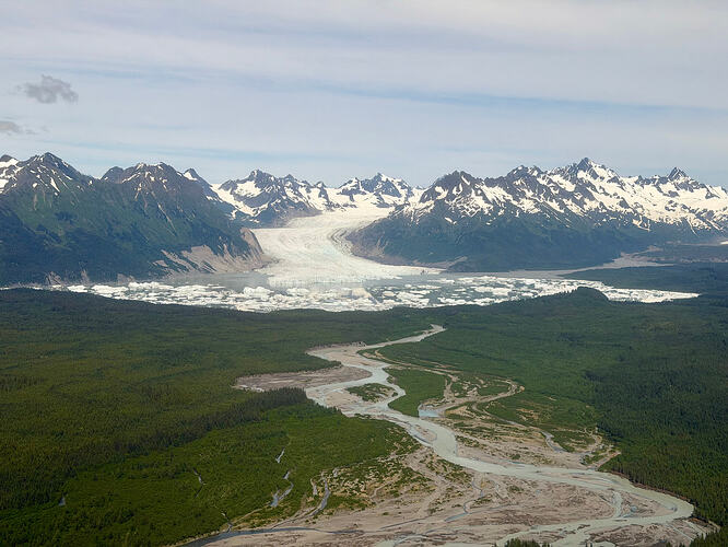 Sheridan Glacier 末端的冰川融水与森林