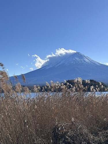 EA9D098D-972A-4936-AD8C-49FC6751A702_1_105_c