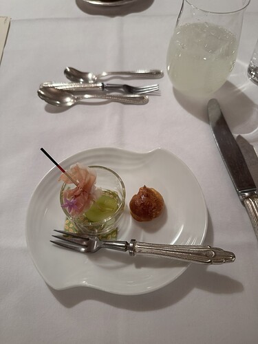 6A62880F-EAF1-4A1E-A57B-8143D13A6279_1_105_c