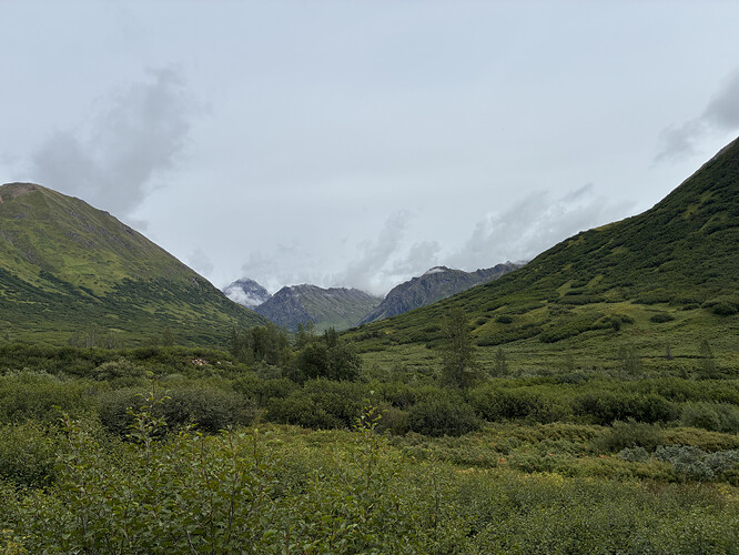 45BA5698-48C3-4DF5-A710-F450F83170F7