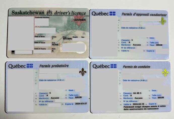 WhatsApp Image 2025-04-22 at 17.39.30_2e9c2cae