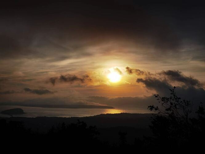 91f089628c3aa53992bbef2e96356c9b