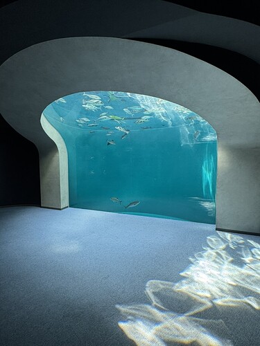 1BE83138-5325-4297-8965-43BB8DF4D070_1_105_c