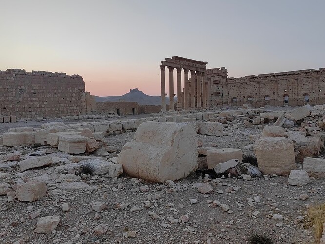 Palmyra 6