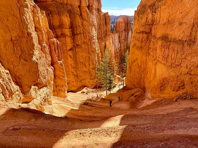 8f01ba9cc46fb53e22d32f7f5ff7afec