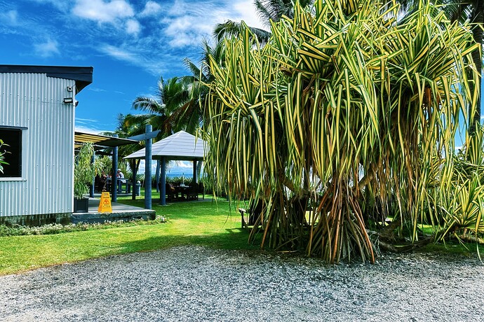 Photo Jul 27 2025, 05 24 55 (46)