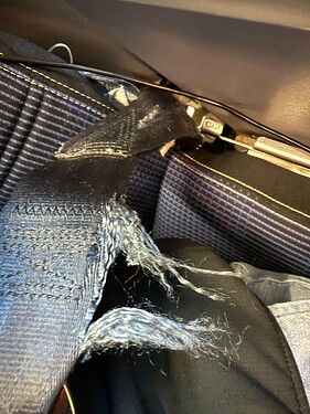 d7efc2148e3d5b8c9ca9ffb2613b975