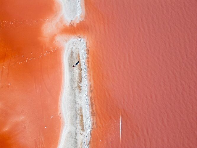 mmexport1746675676399