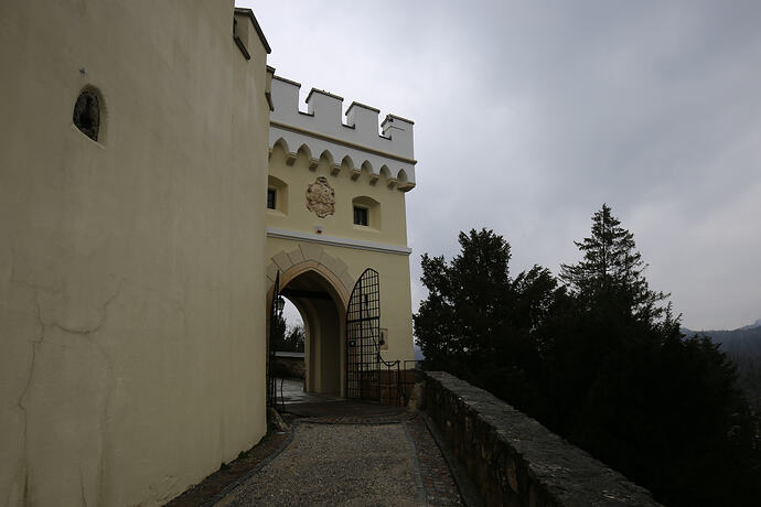 IMG_5337