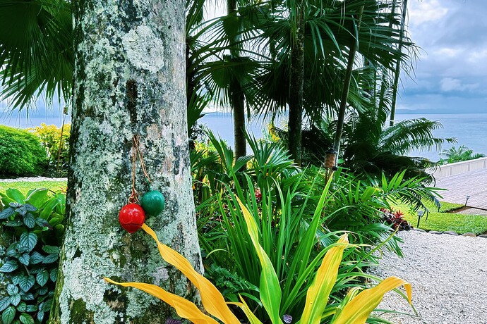 Photo Jul 27 2025, 05 24 56 (5)