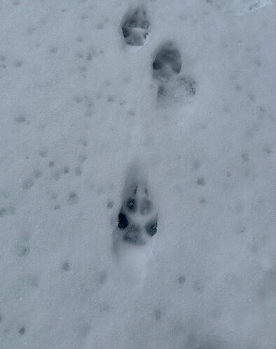 View recent photos 14