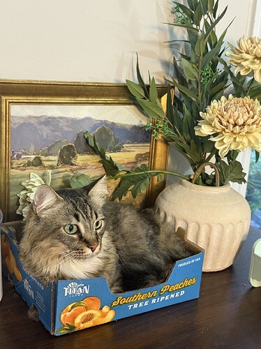 d08b91a6c050e419957ff1d5765d6771