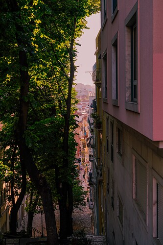 DSC06619