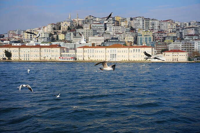 DSC002091