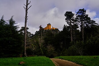 DSC03061
