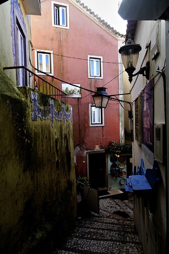 DSC03091