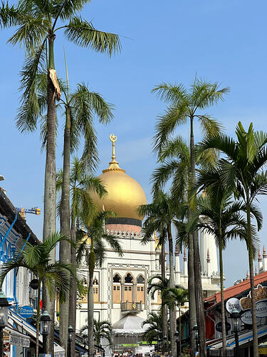 5533D42F-2495-47E0-A626-491F3FDA64C1_1_102_o