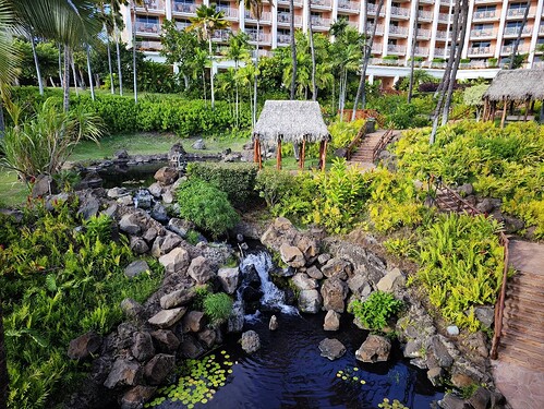 Hawaii Garden