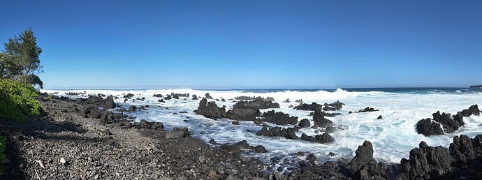 DJI_20241220135509_0020_D