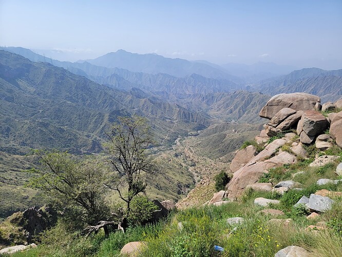 Abha 1