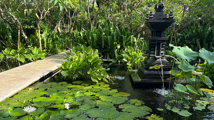 72d742ccabe033cf018e246fea57271f