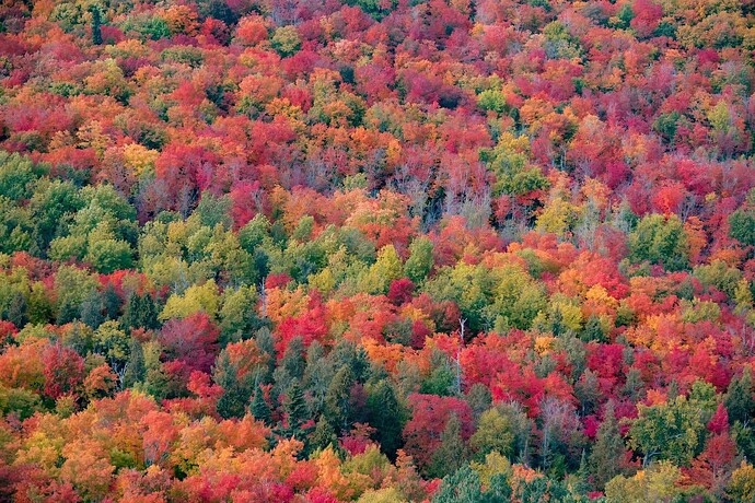 mmexport1726862791296