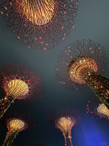 B9A0001D-F68F-4EBF-B6E1-AD7D6163D16D_1_105_c