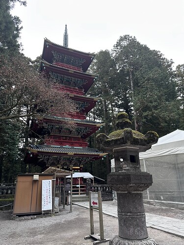 8BA23CD5-666A-4B8C-A861-DE8C75DDB9F9_1_105_c