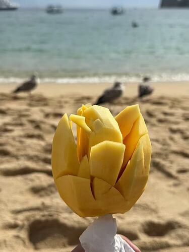 d0a20211b5fae836bdd93ce0985373b