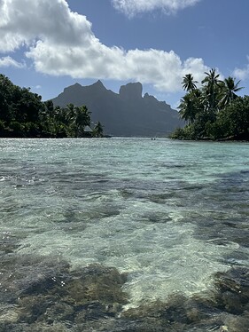 IMG_4412